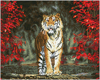 Diamond Art tiger 40 x 50 cm