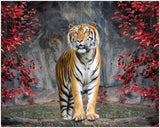 Diamond Art tiger 40 x 50 cm