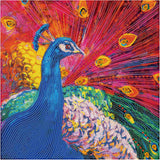 Diamond Art MIX påfugl 40 x 40 cm