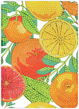 Diamond Art citrusfrugter 13 x 18 cm