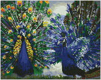 Diamond Art påfugle 40 x 50 cm