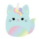 Squishmallows 19 cm Asst
