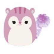 Squishmallows 19 cm Asst