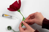 Crepepapir Mini DIY Kit Valmuer