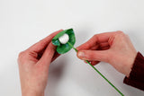 Crepepapir Mini DIY Kit Valmuer