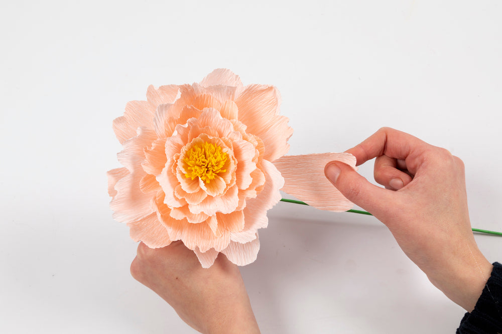 Crepepapir Mini DIY Kit Pæon