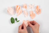 Crepepapir Mini DIY Kit Pæon
