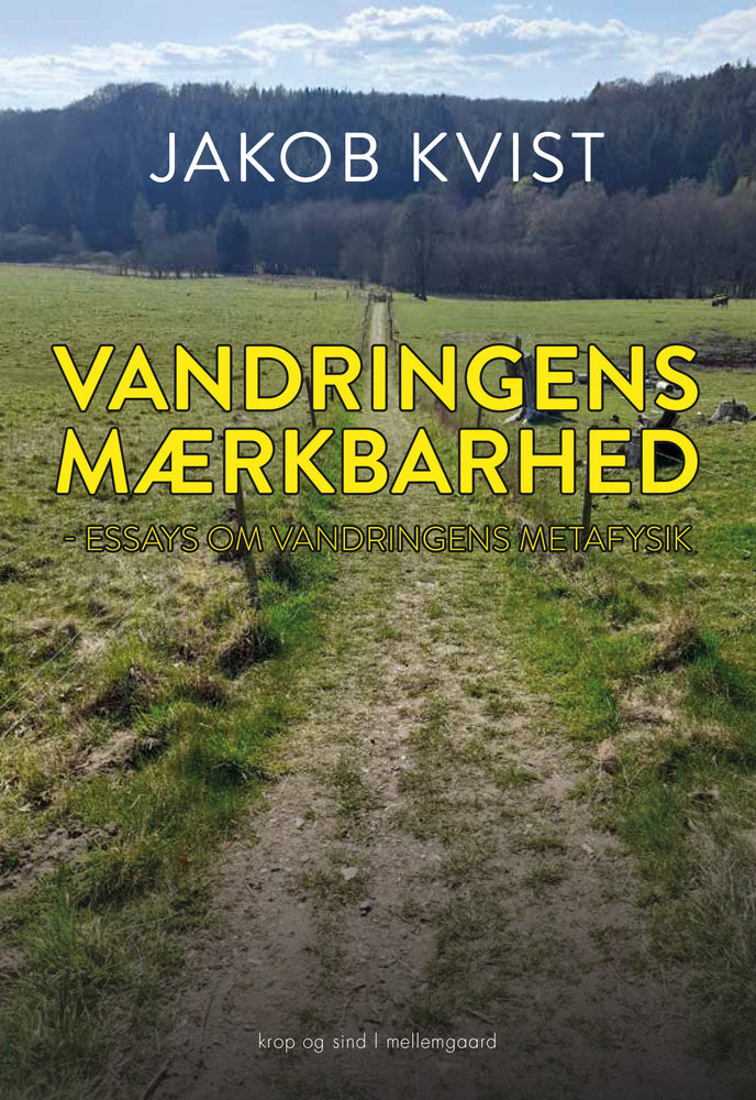 Vandringens mærkbarhed - essays om vandringens metafysik
