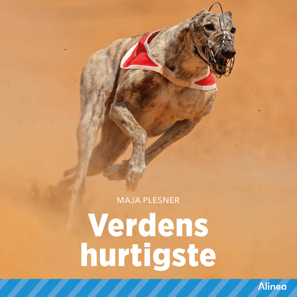 Verdens hurtigste