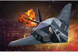 F-117A Nighthawk Stealth Fighter