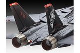 Grumman F-14D Super Tomcat