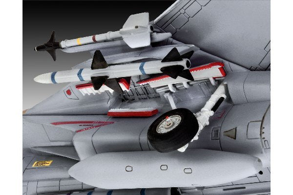 Grumman F-14D Super Tomcat