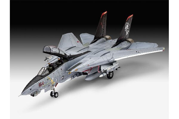 Grumman F-14D Super Tomcat