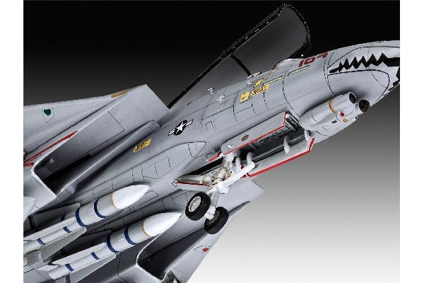 Grumman F-14D Super Tomcat