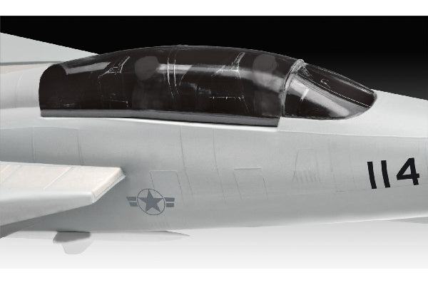 F-14 Tomcat Top Gun