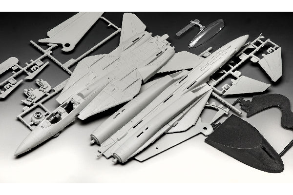 F-14 Tomcat Top Gun