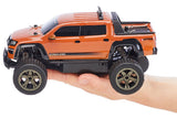 RC VW Amarok Truggy