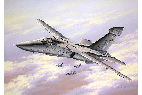 Model Set EF-111A Raven