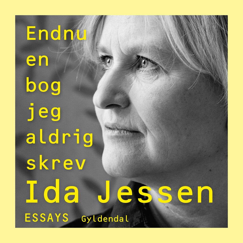 Endnu en bog jeg aldrig skrev