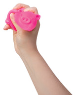 NeeDoh dig it pig asst