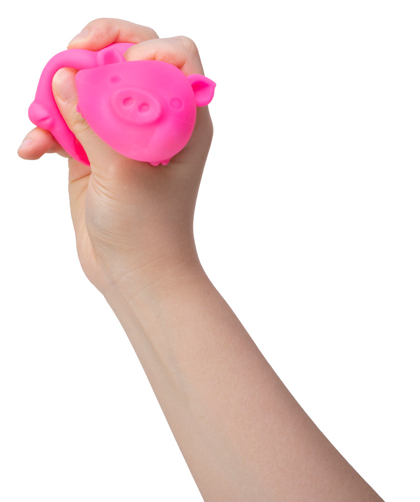 NeeDoh dig it pig asst