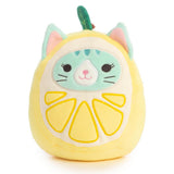 Squishmallows 19 cm Asst
