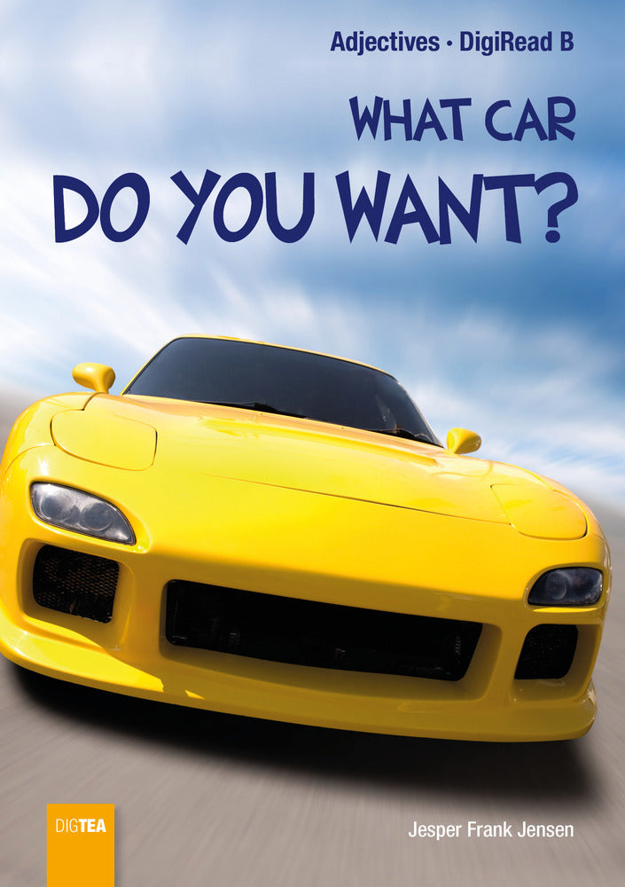 What Car do You Want?