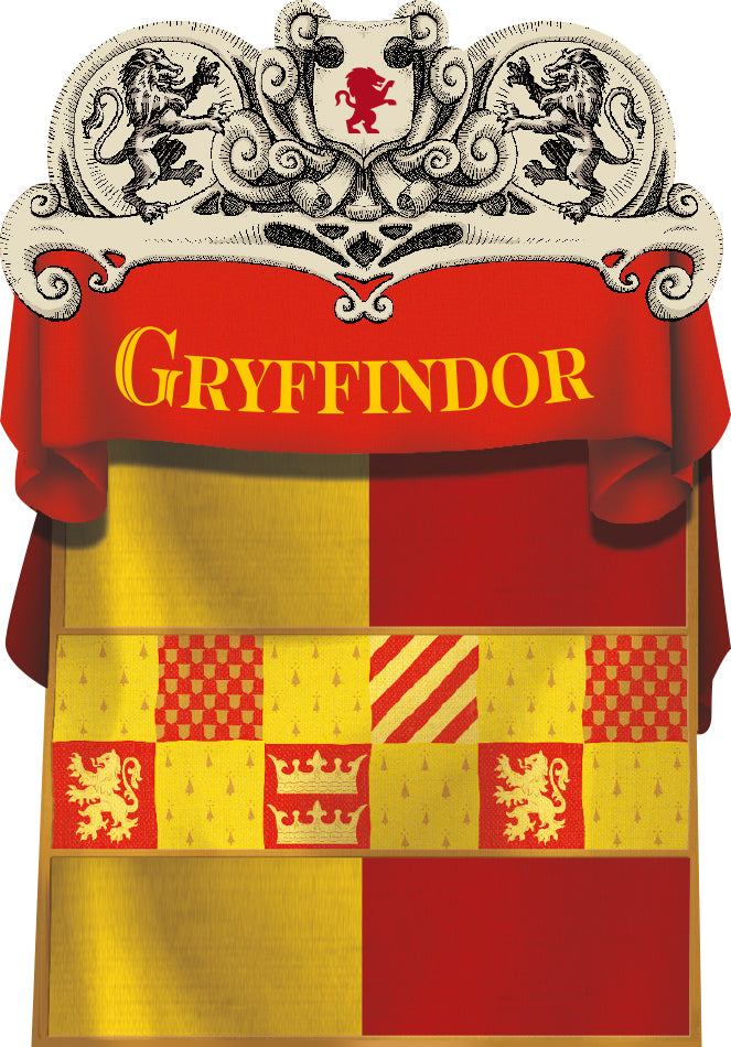 Harry Potter Stupefy!
