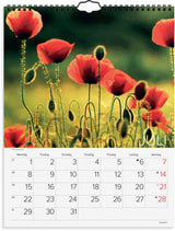 Kalender 2024 dansk natur