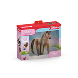 Schleich BH Akhal-tekiner-hingst