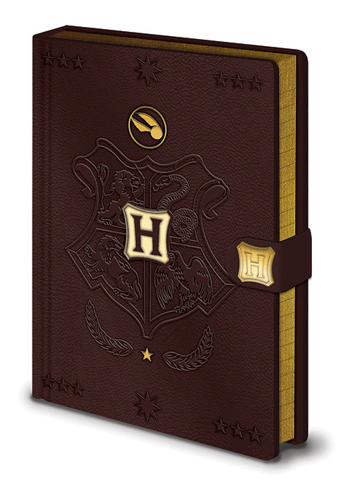 HARRY POTTER NOTESBOG, QUIDDITCH