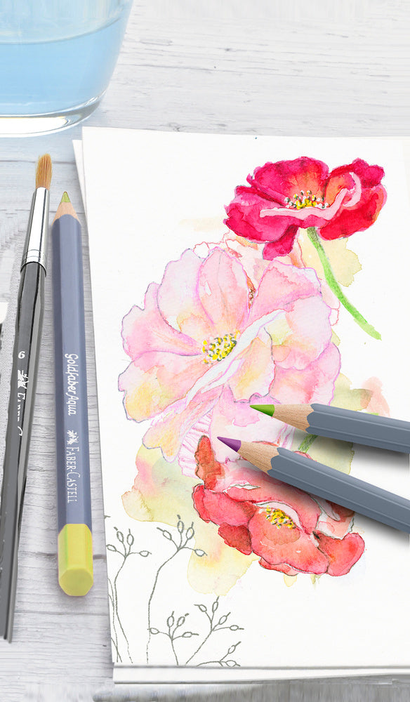 Farveblyant Goldfaber akvarel 12 pastel + 24 standard