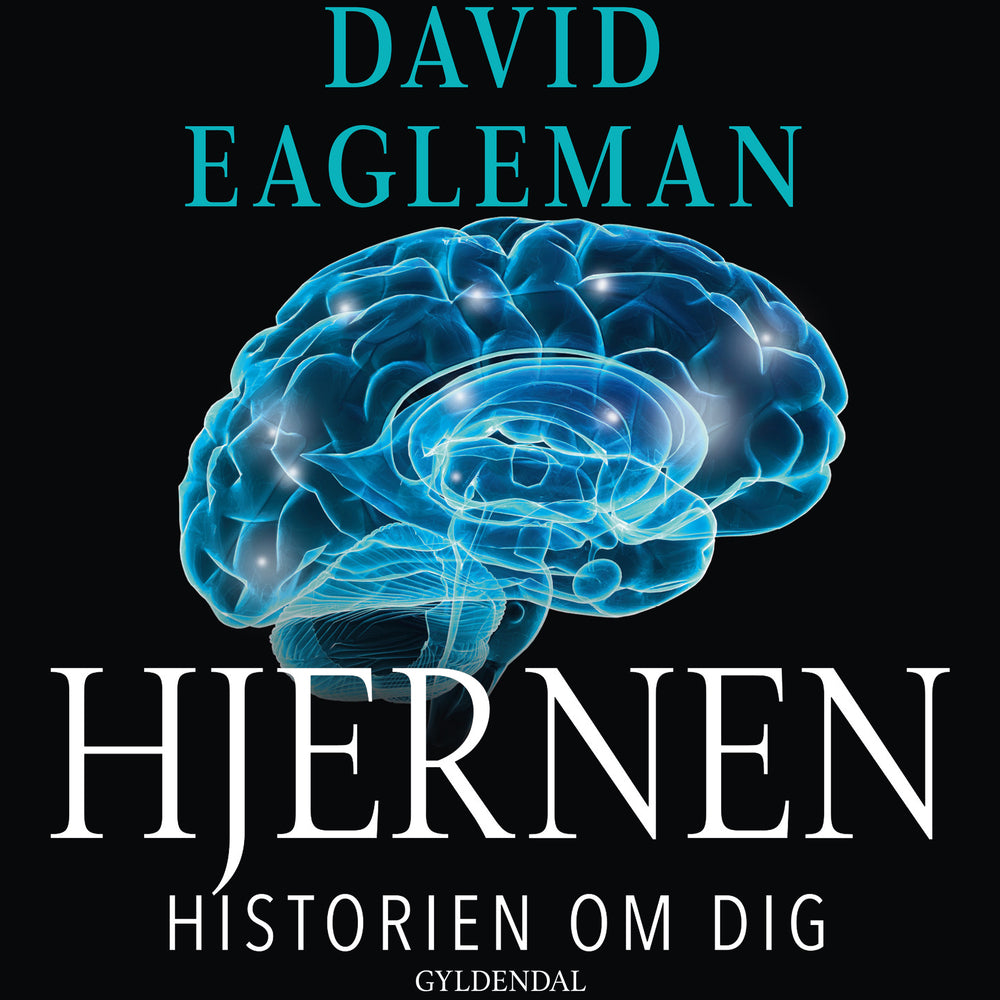 Hjernen