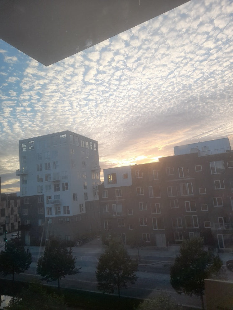 Bøn
