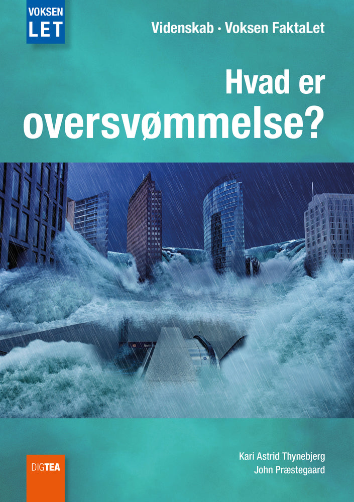 Hvad er oversvømmelse?