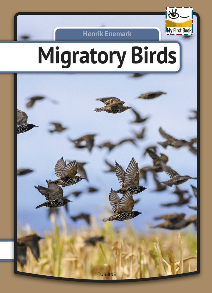 Migratory Birds