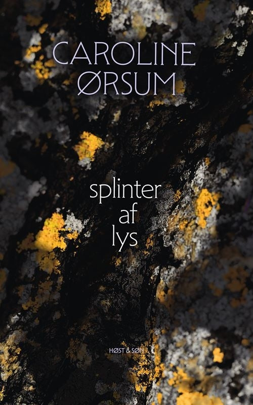 splinter af lys