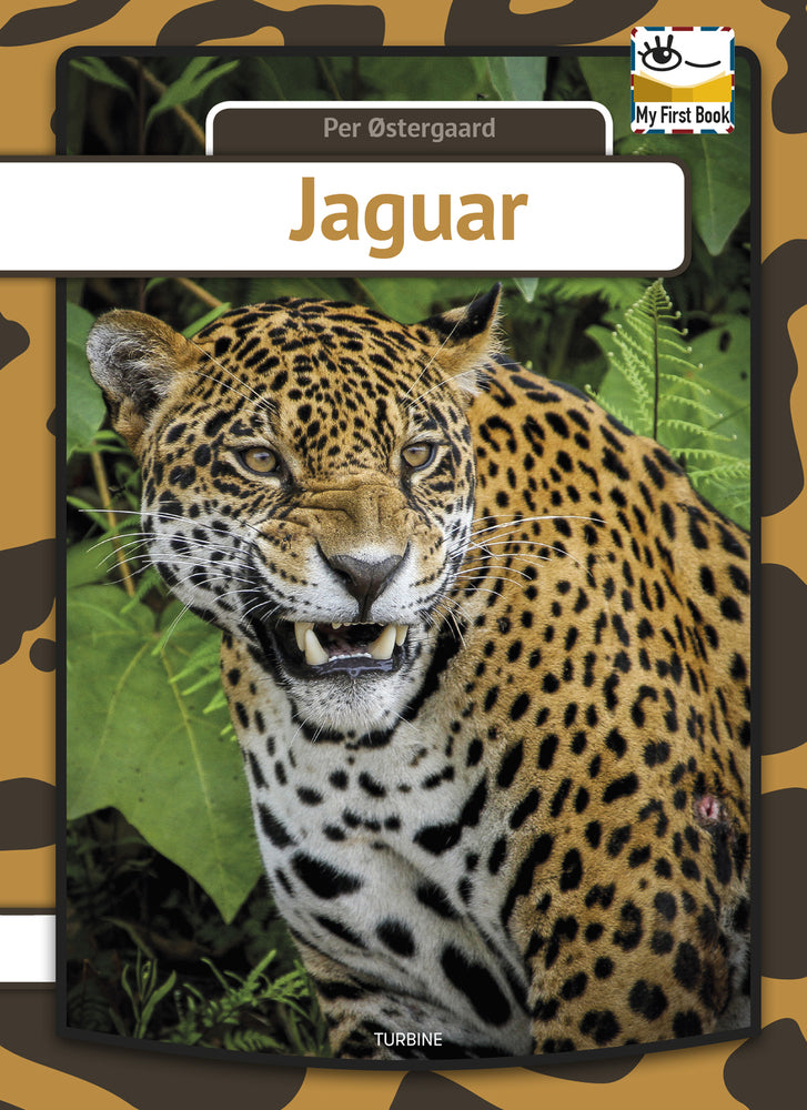 Jaguar