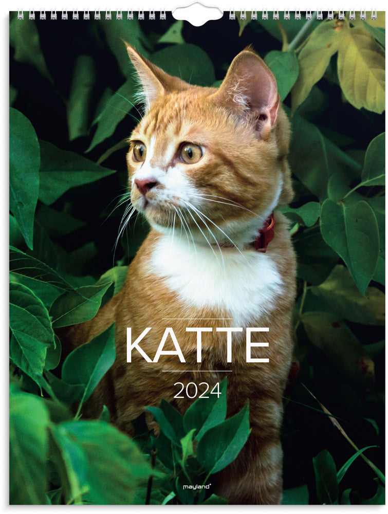 Vægkalender 2024 katte