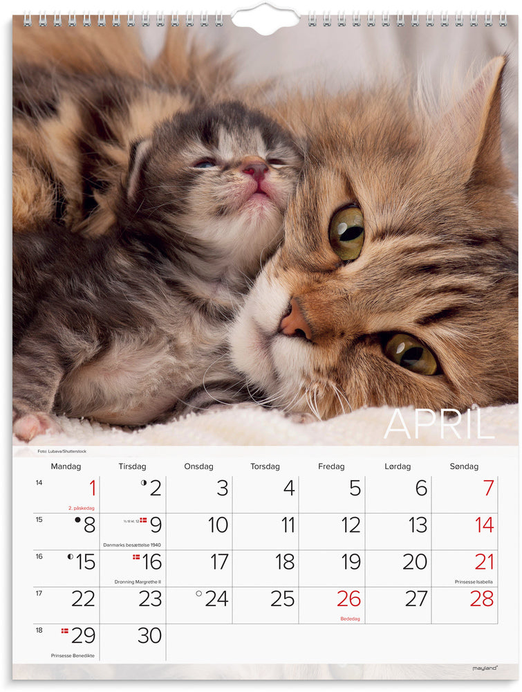 Vægkalender 2024 katte