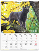 Vægkalender 2024 katte