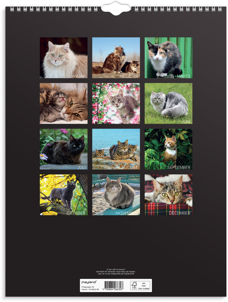 Vægkalender 2024 katte