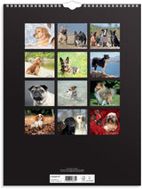 Vægkalender 2024 hunde
