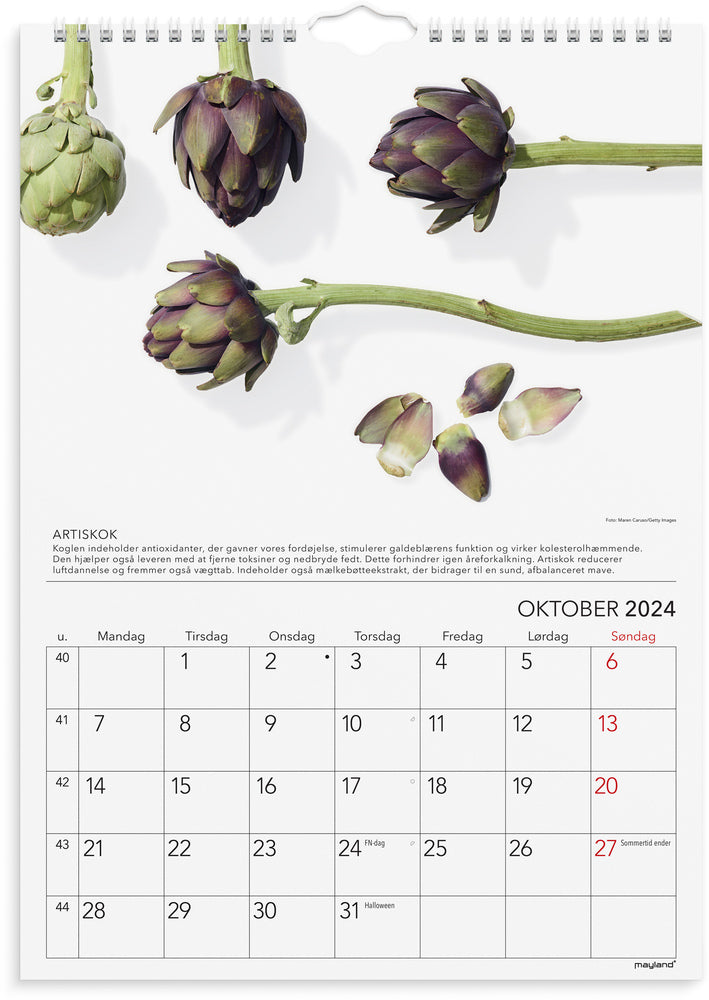 Kalender 2024 grønne tips A4