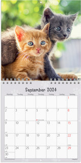 Kalender 2024 kattekillinger