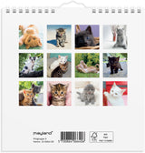 Kalender 2024 kattekillinger