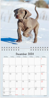 Vægkalender 2024 hundehvalpe