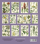 Natur - Flora kalender 2024
