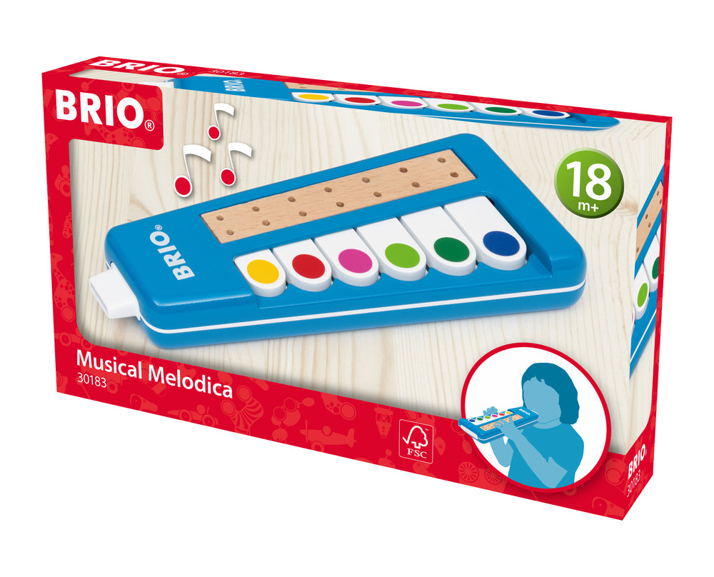 Musik Melodica