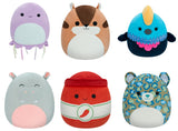 Squishmallows 30 cm ass